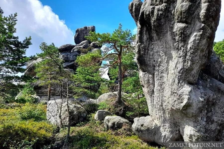 Pokoje U Filipa Kudowa-Zdroj Dış mekan fotoğraf